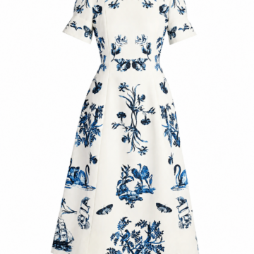 White Blue Illustrative Fit-and-Flare Dress